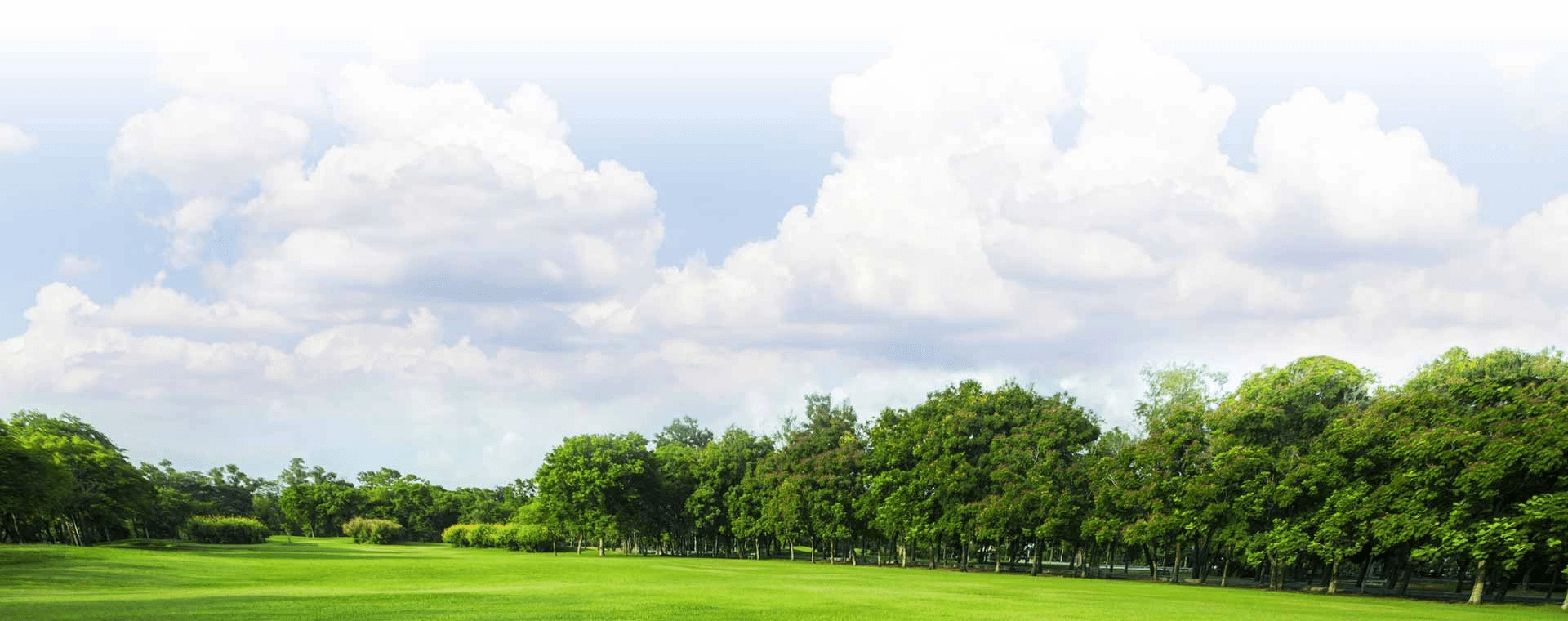golf course during the day